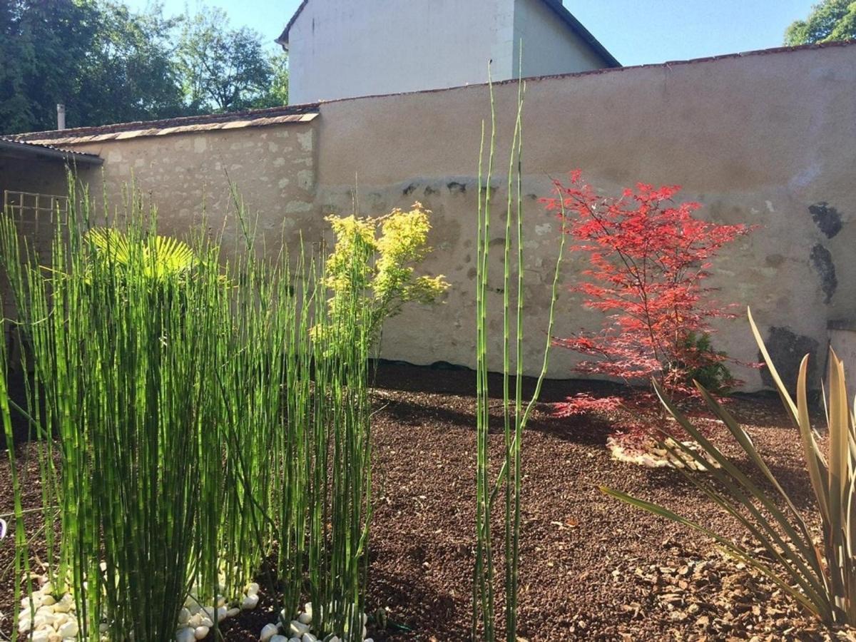 Studio Lumineux Avec Jardin Prive Et Terrasse En Plein Centre De La Roche-Posay - Fr-1-541-96アパートメント エクステリア 写真